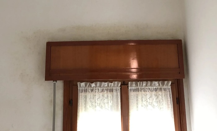 muffa intorno alle finestre
