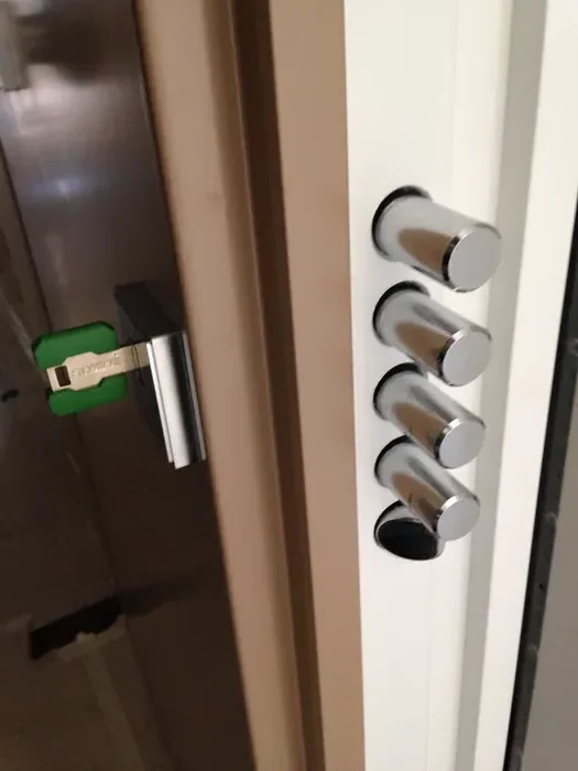 Dettaglio dei rostri di una porta blindata, sicurezza antintrusione